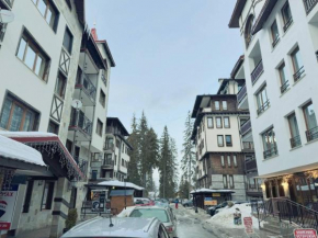 Dream View Family Retreat Pamporovo